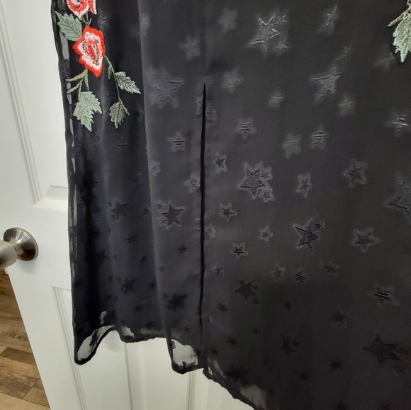Super cute Topshop dress.  Black,  sheer  with rose embroidered embellishments. - Picture 5 of 10